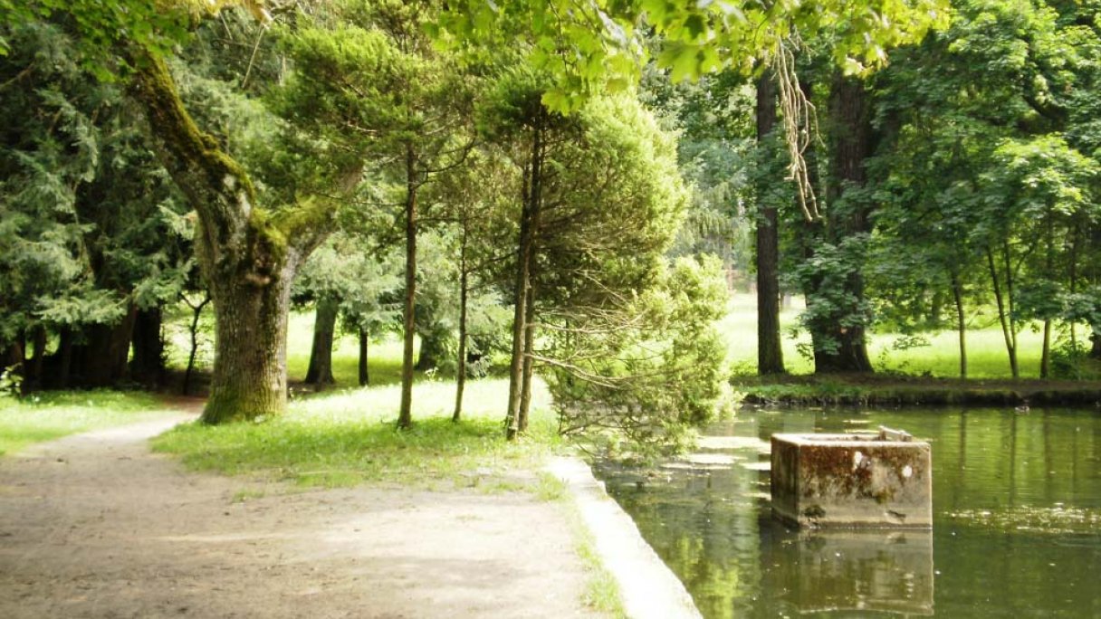 Arborétum - Park Turčianska Štiavnička 2 Zdroj: https://sk.wikipedia.org/wiki/Tur%C4%8Dianska_%C5%A0tiavni%C4%8Dka