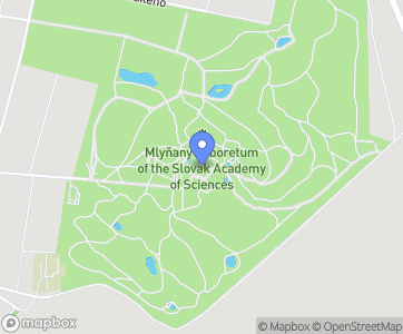 Arborétum Mlyňany SAV - Mapa